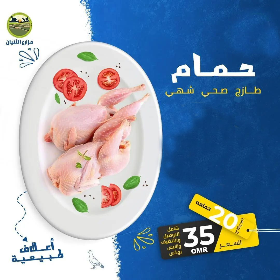 بوكس 20 حمامة