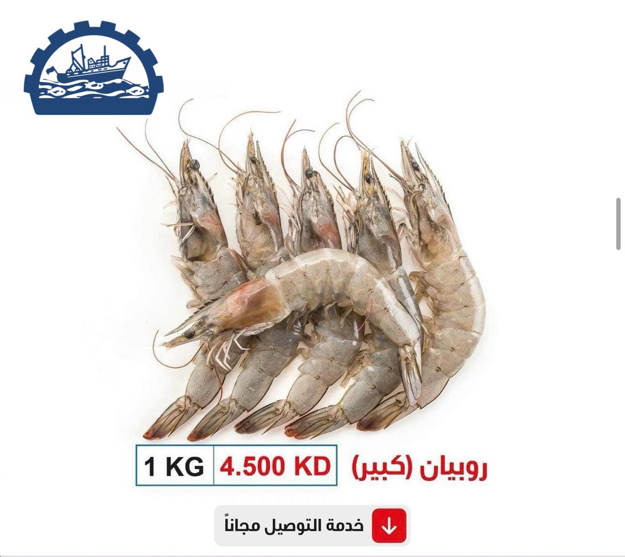 روبيان كبير