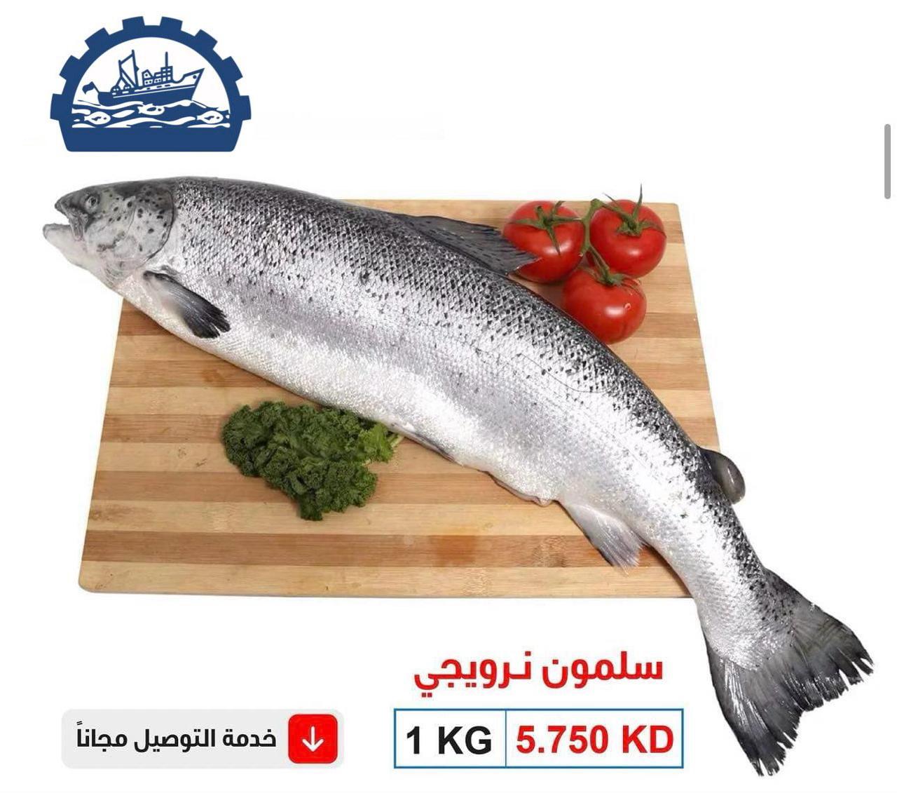 سلمون نيجيري