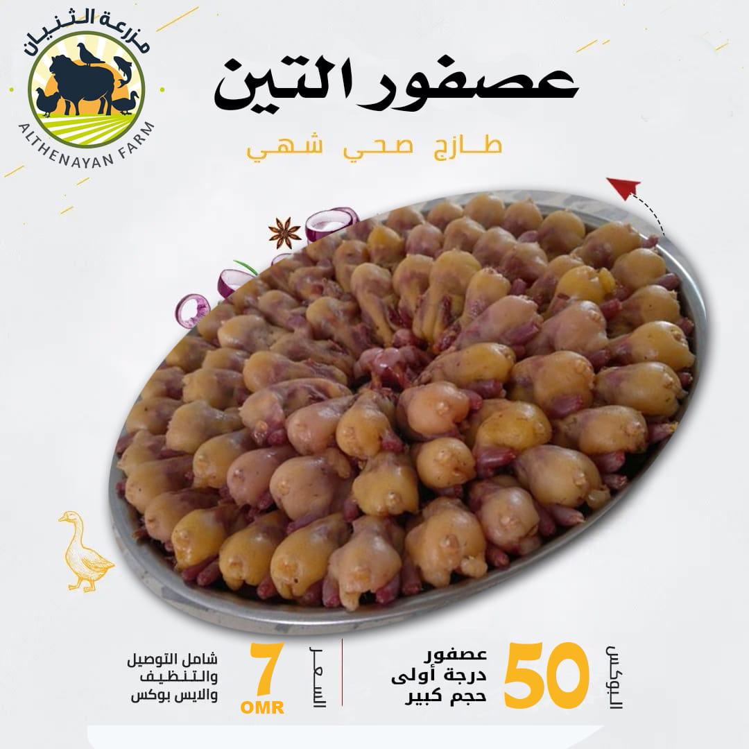 عرض 50 عصفور التين