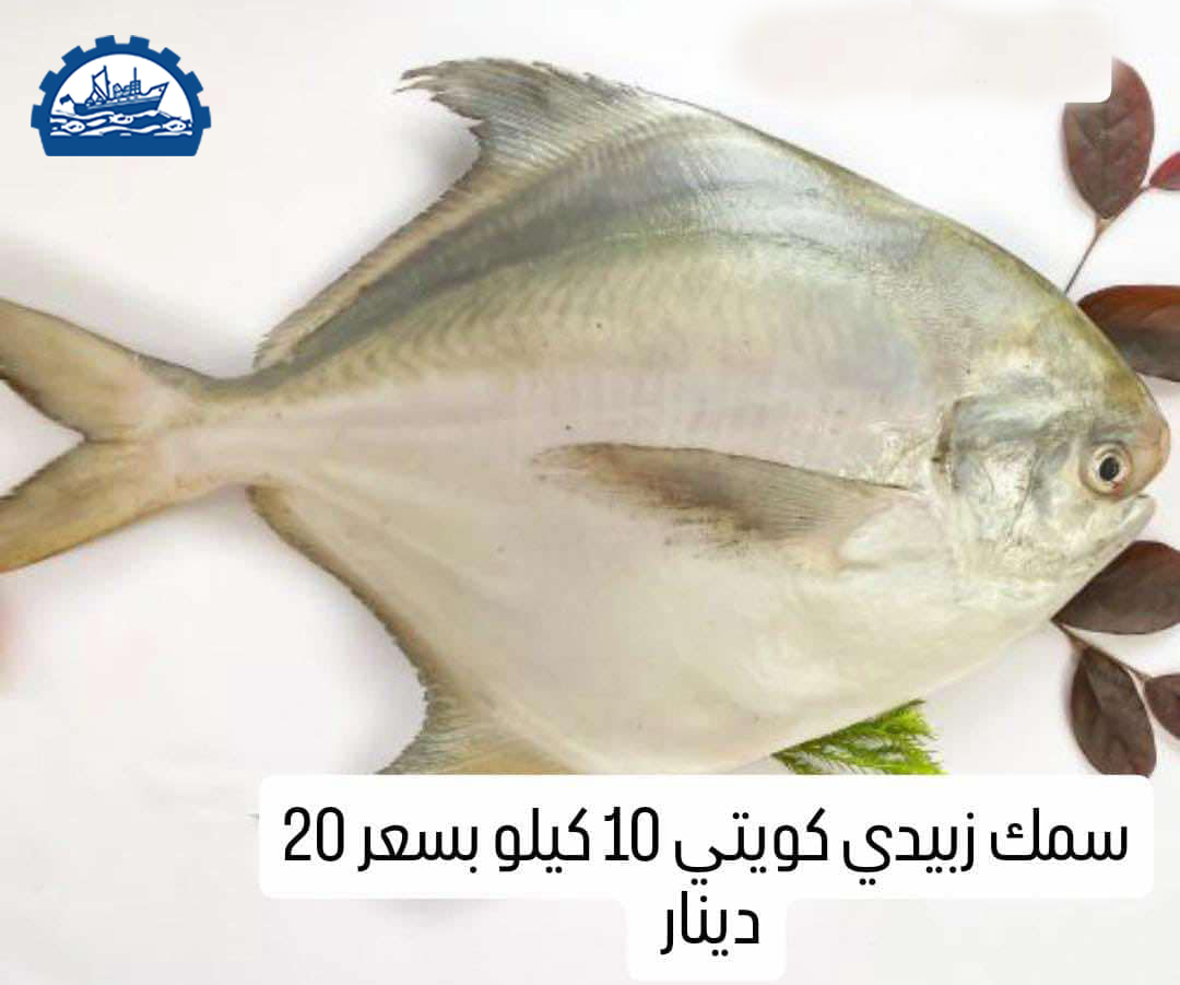 كرتون زبيدي عماني